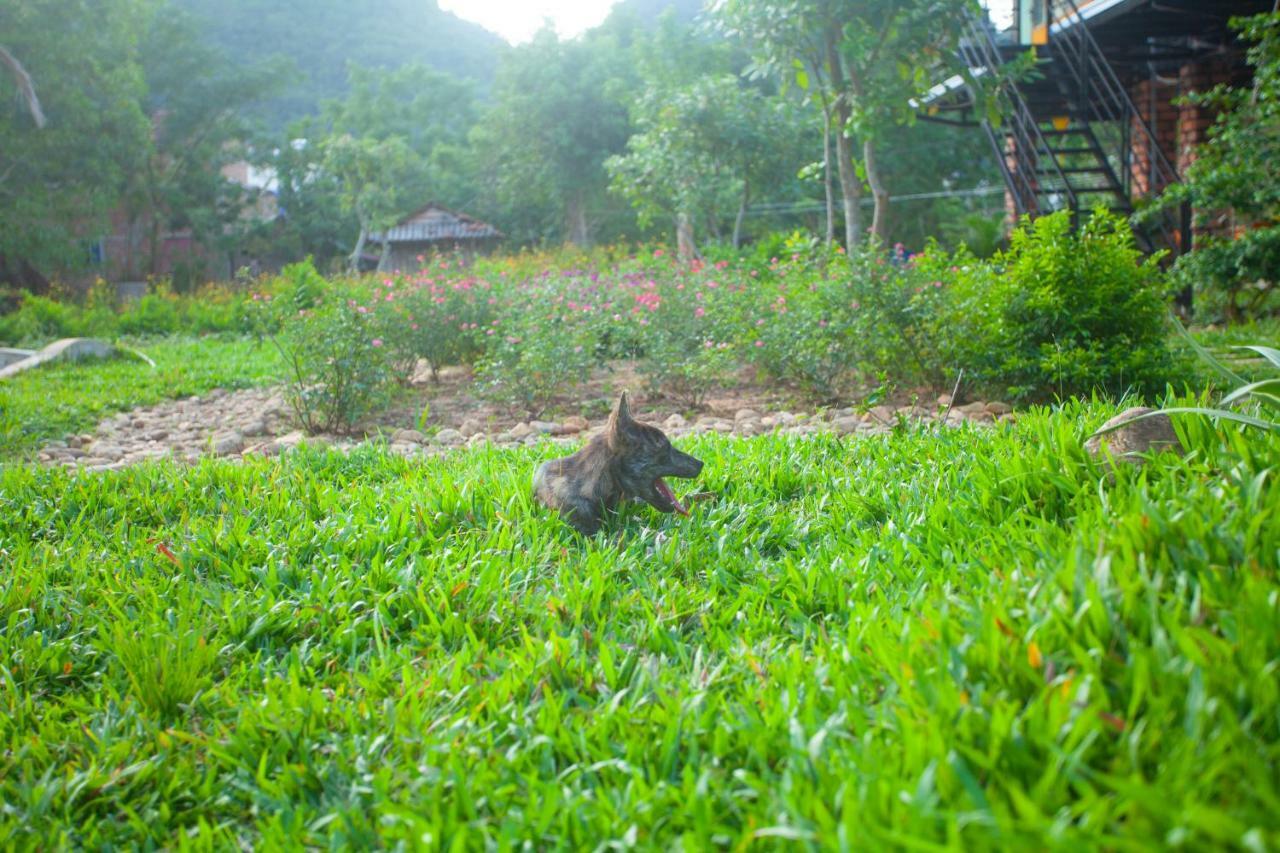 Phong Nha Bolero Bungalow Zimmer foto